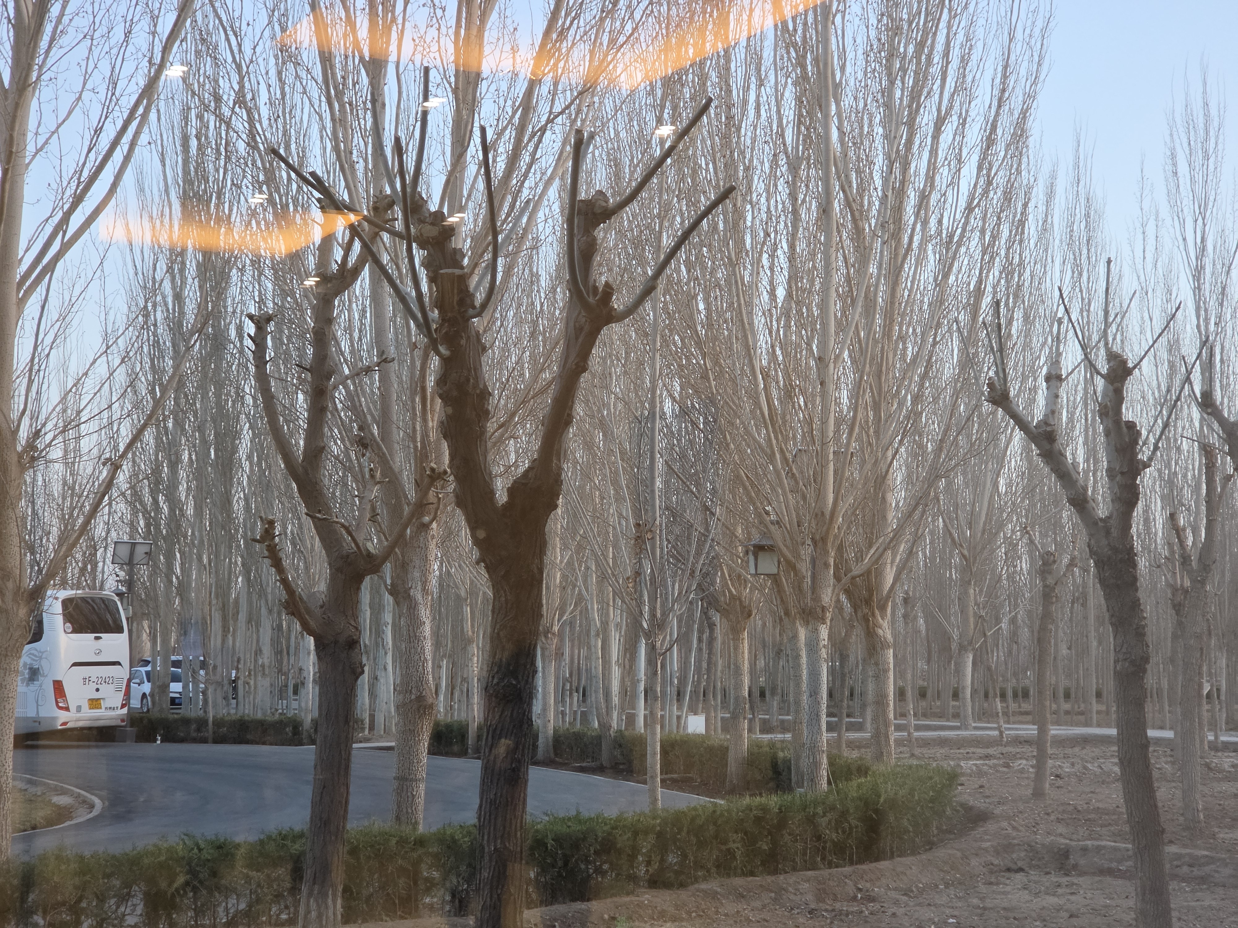 八点了，天还亮着呢