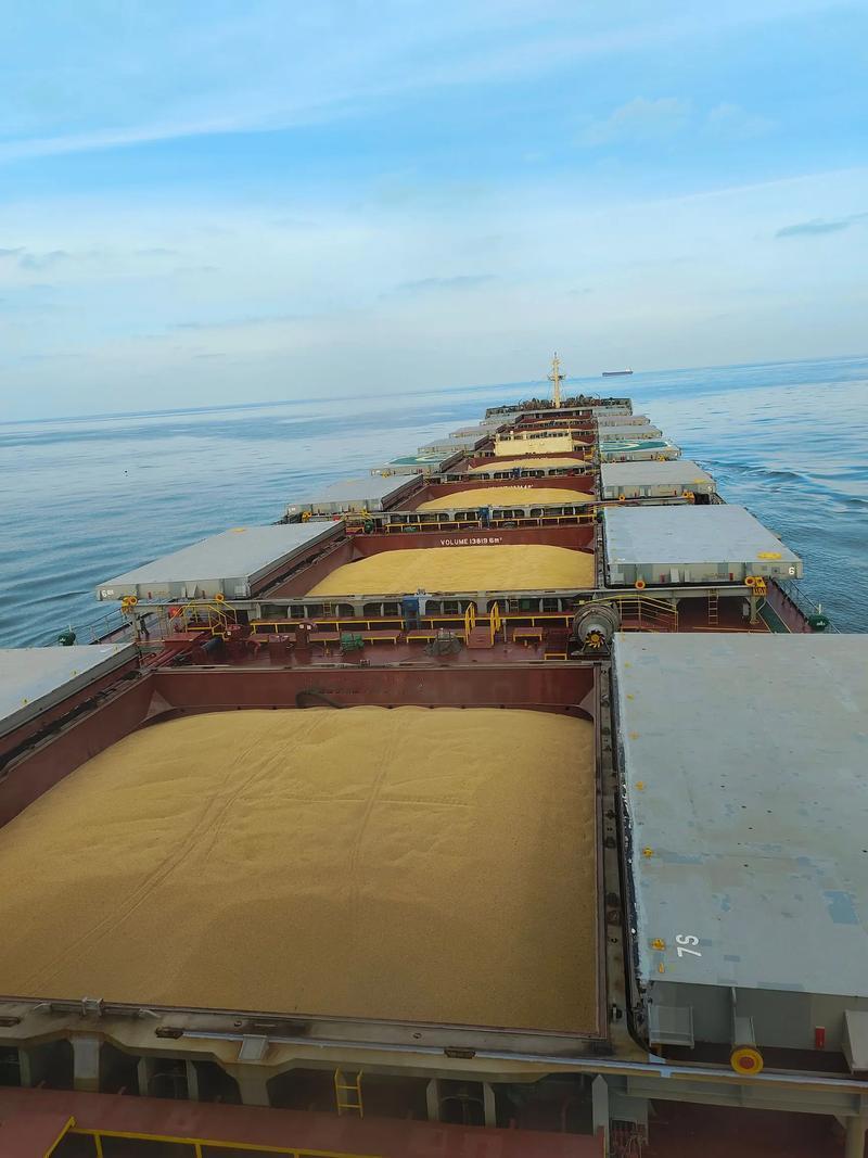 [烟花]当一船满载6.9万吨巴西大豆的货轮靠泊江苏泰州码头时，谁也没想到，大豆中