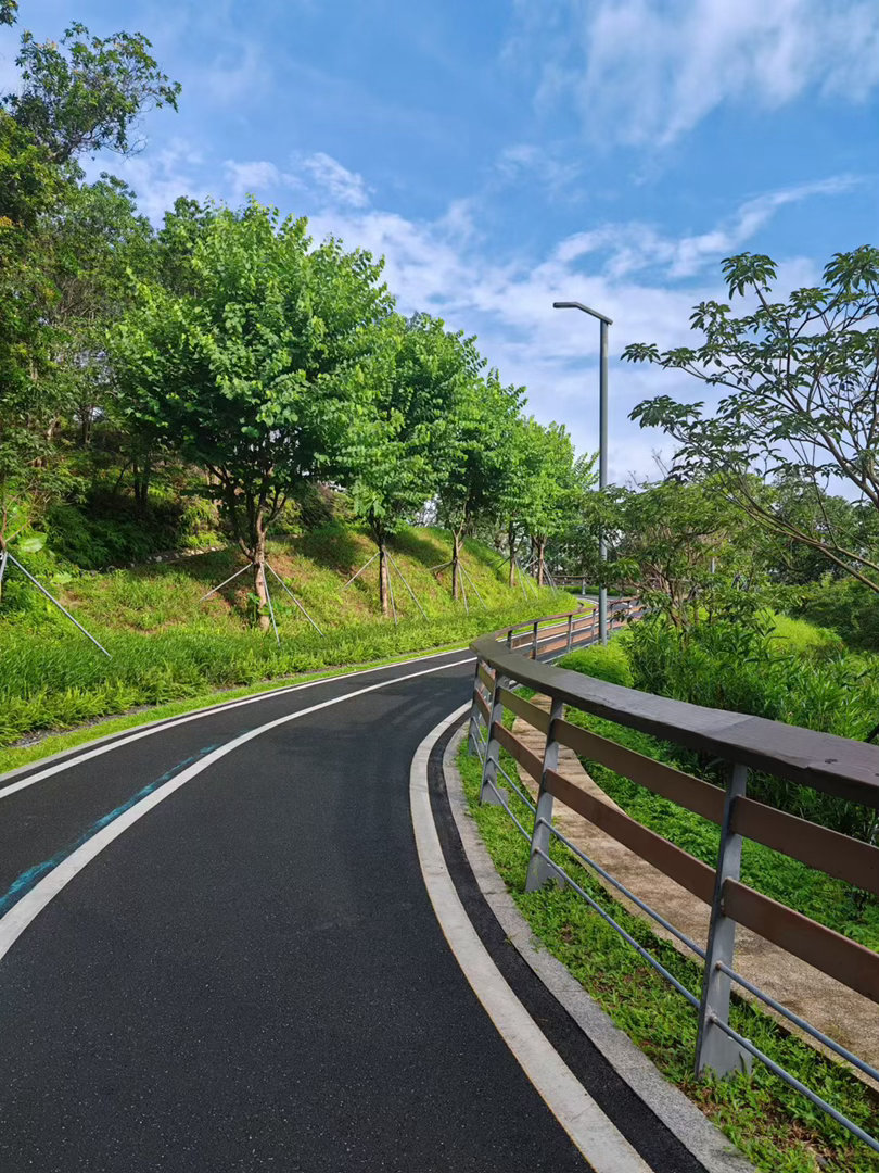 深圳一场夏雨过后，连日闷热瞬间消散，整座城市浸在清爽湿润里。风裹着草木与泥土的清