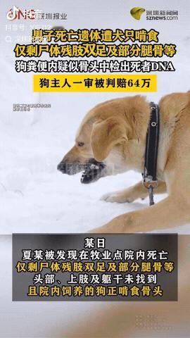 内蒙古，一男子在牧业点养了11条狗，雇一60岁老人打更，一天，男子没想老人居然死