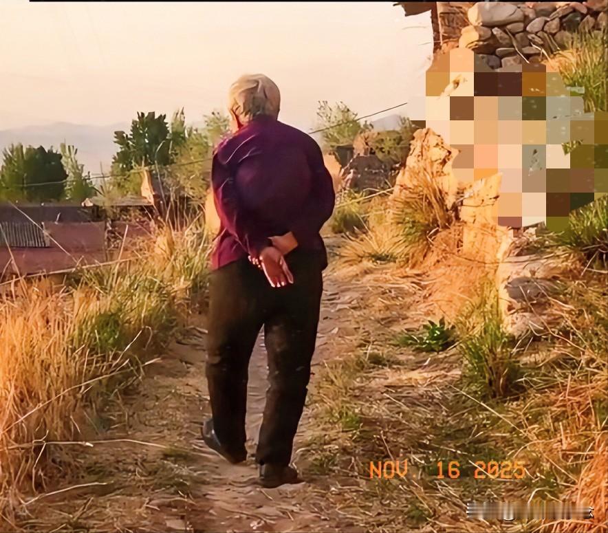 反转来的让人猝不及防，

93岁老母亲事后竟掏500块求情“赎儿子”。

这剧情