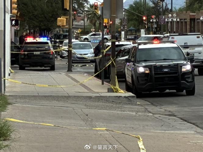 亚利桑那州图森发生大型枪击事件 根据目前警方公布的信息，这起枪击案发生于当地时间