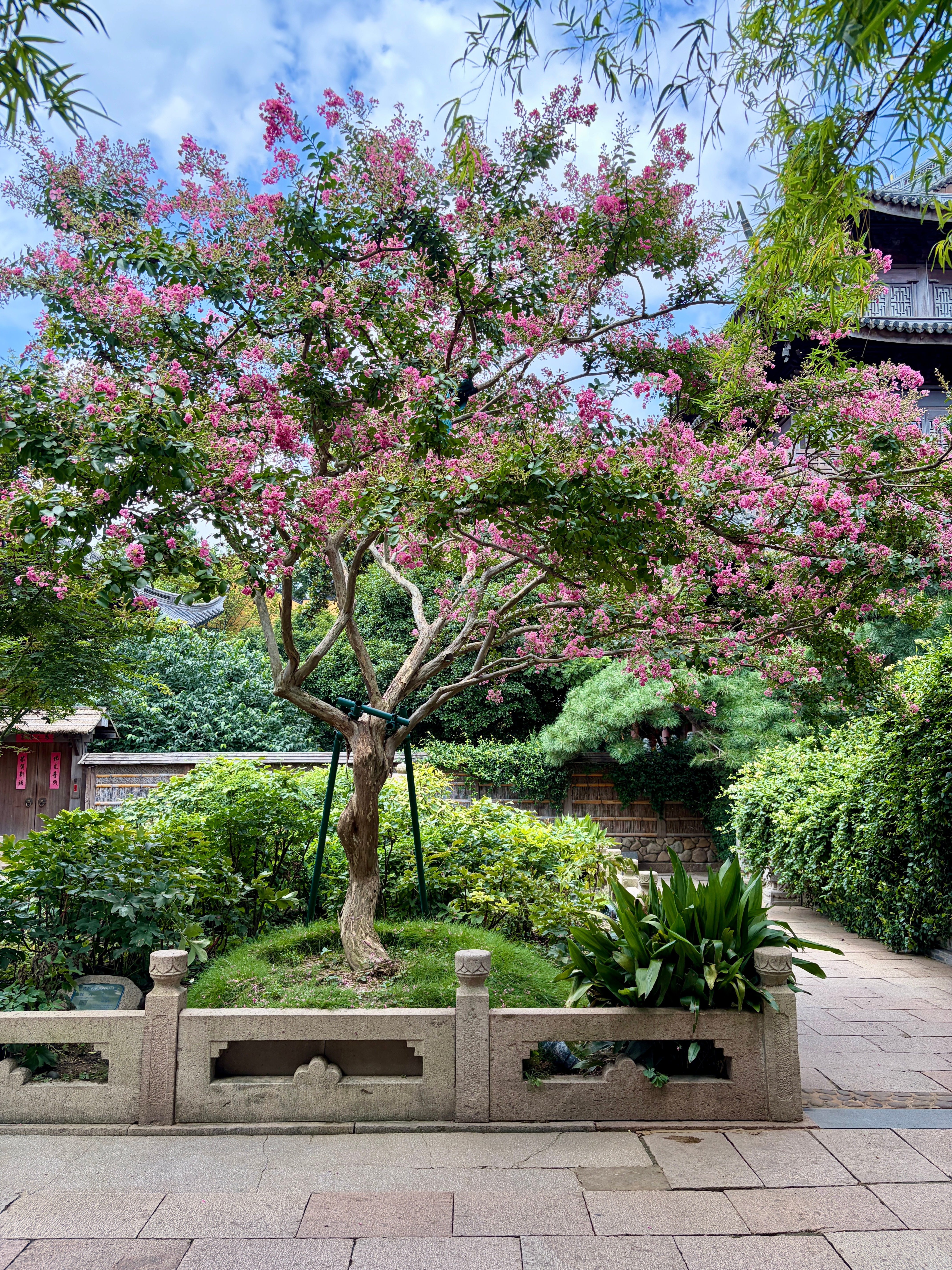 citywalk 上海·龙华寺