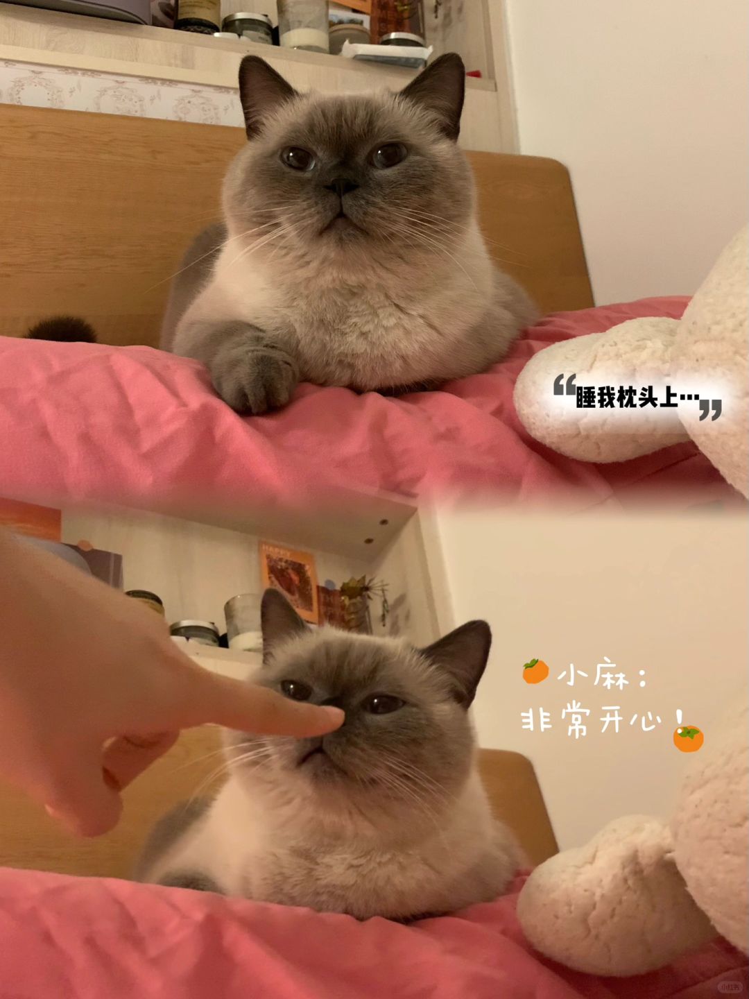 这是什么脏脏包？吃一口！