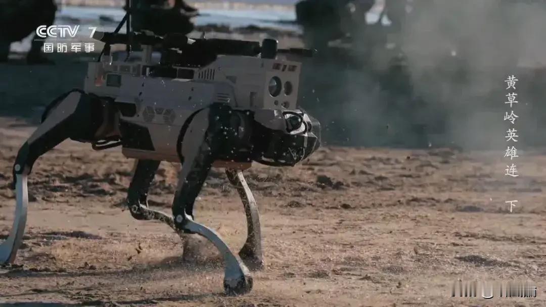 央视曝光！登陆演习铁狗上阵，让“敌人”给炸咧？
央视军事频道近日报道咧南部战区“