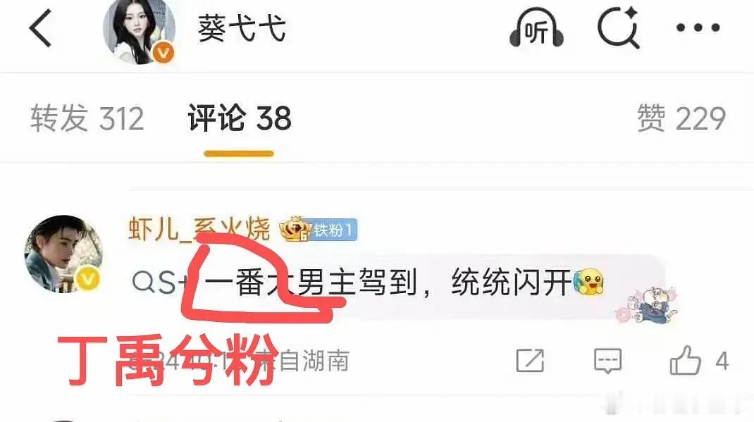 新规当下，粉丝还在说丁禹兮就是永一番？ 