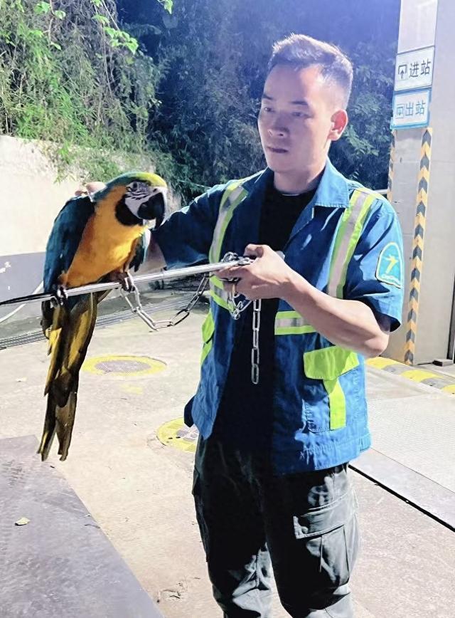 有人出价3000元他都不为所动！