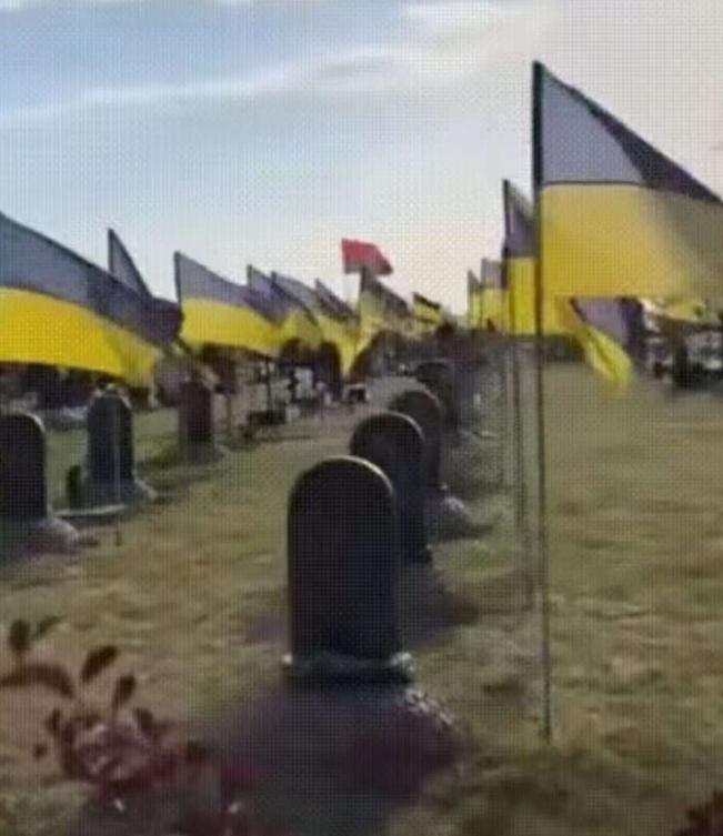 俄乌战场清理现场的画面真让人惊掉下巴，俄军在红军城的瓦砾堆里清理时，除了报废的武