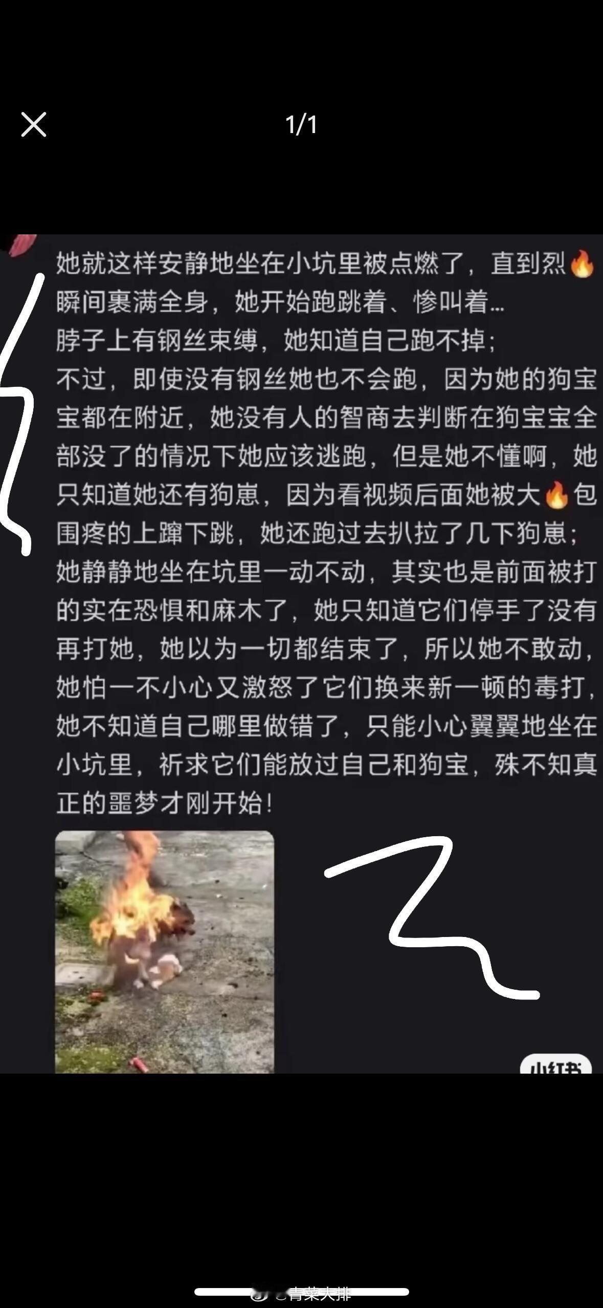 狗不是人，人坏起来是真的狗。 