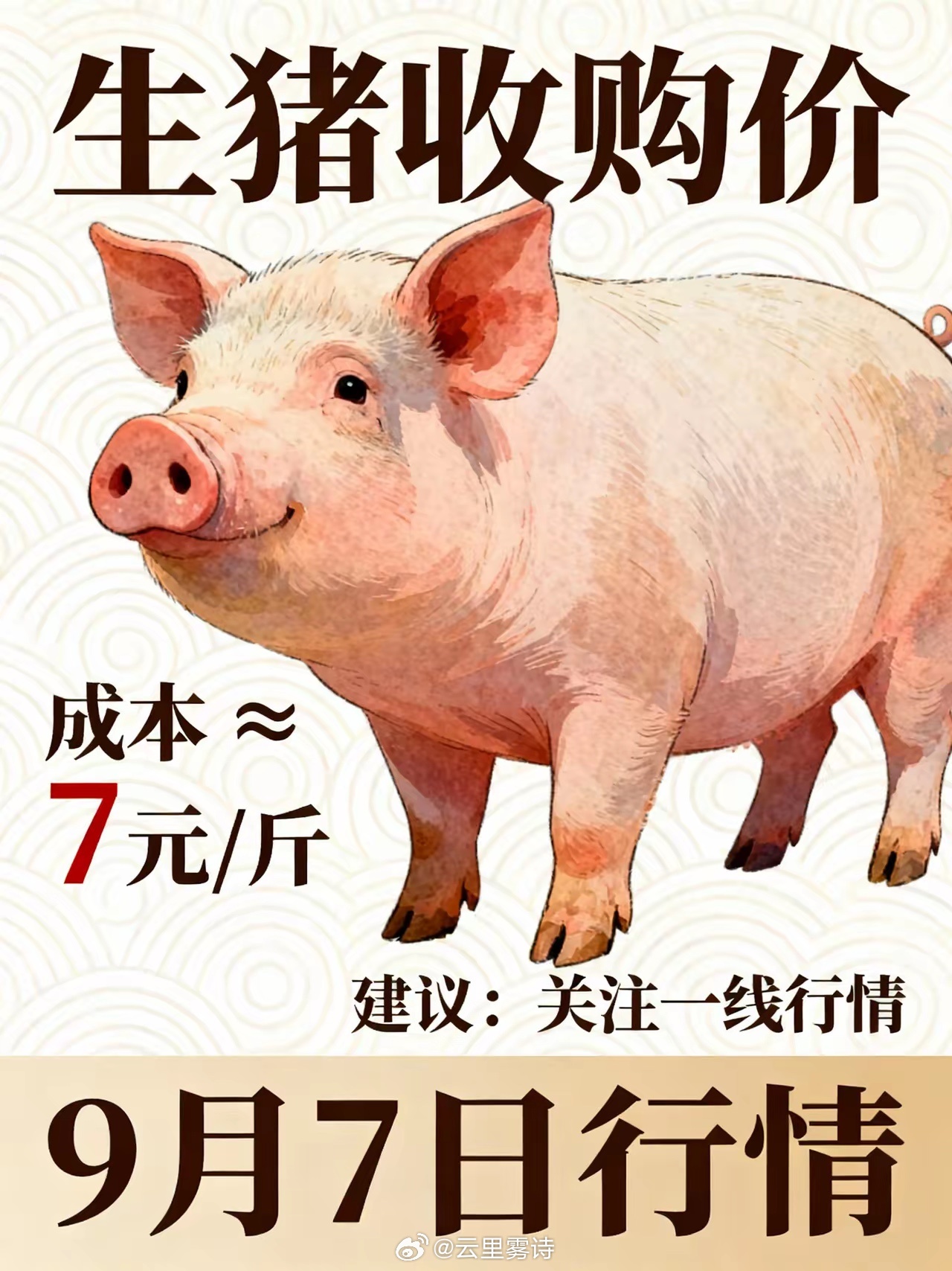 9月7号，刚从屠宰场回来，今天的猪价有点吓人9月7号我刚从屠宰场出来，攥着手里的