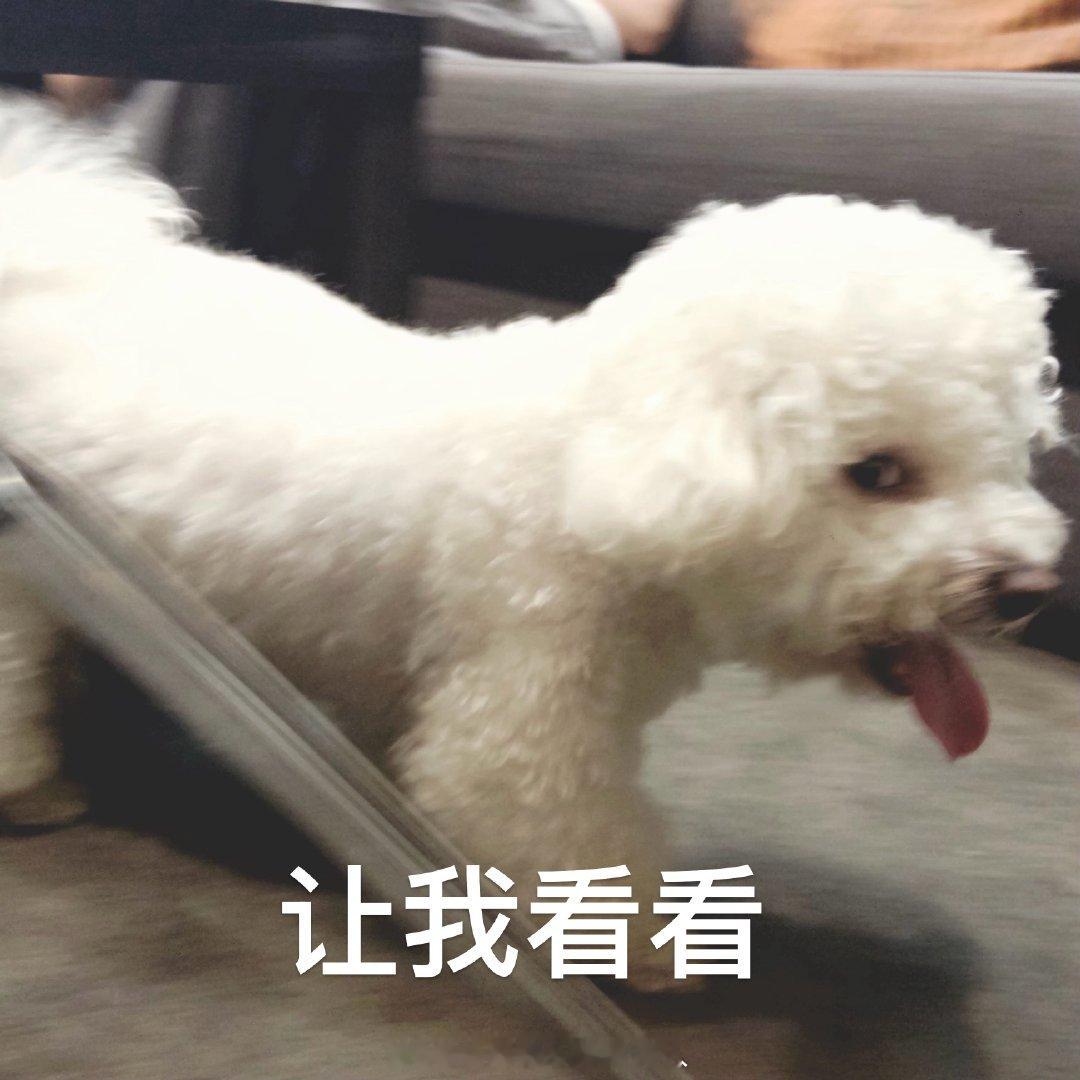 抢到了吗？？抢到了吗？？ （