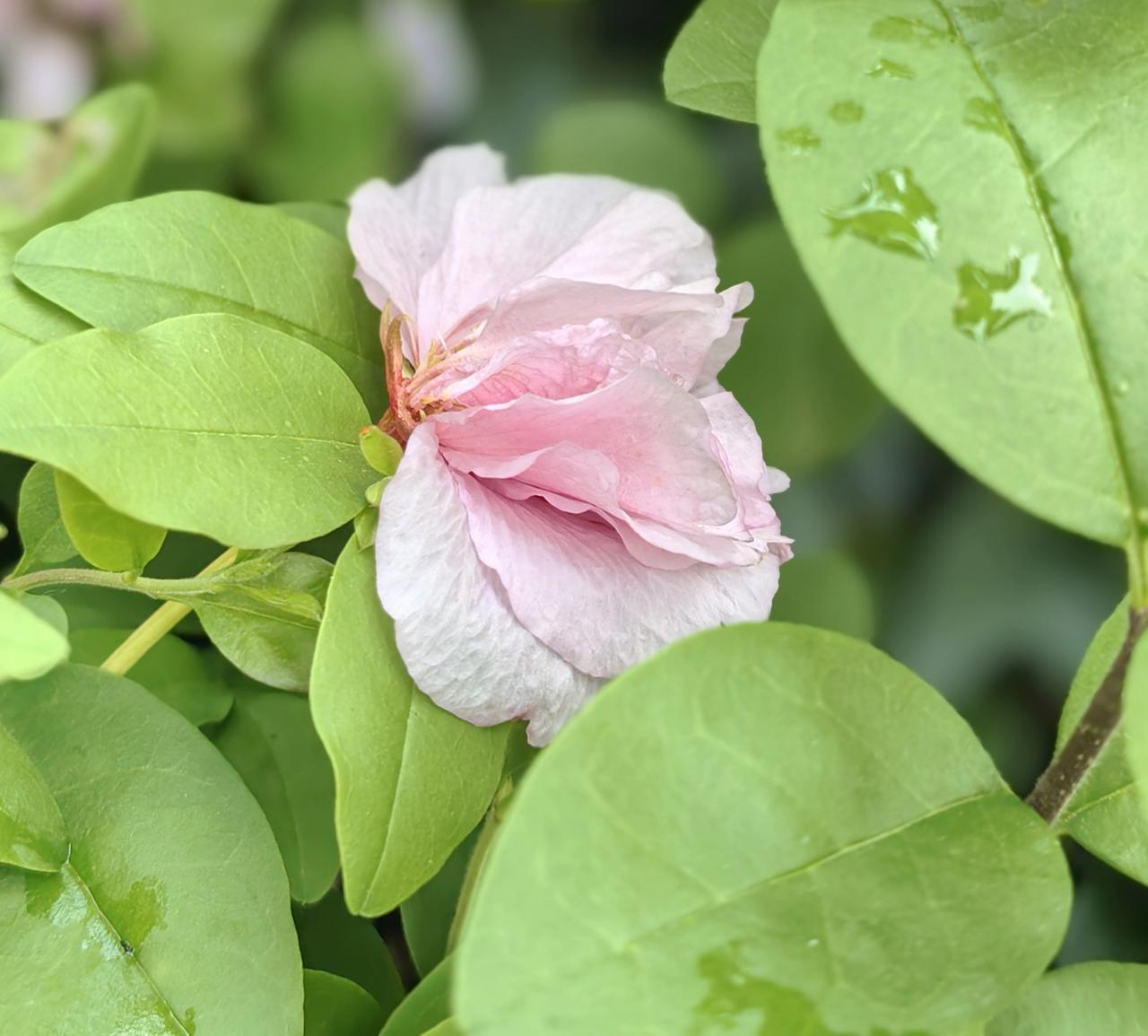 春天很短，
 但足够，
发生很多好事。

🫰如果你，
 也喜欢春天，
我们就是