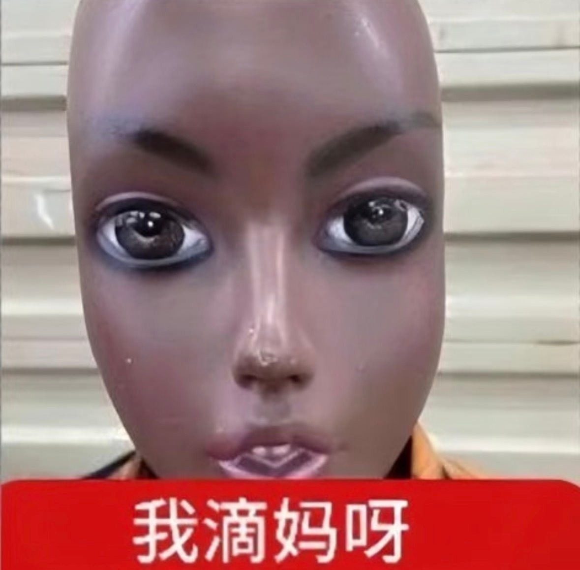心引力开头合唱是在打架吗 要打出去打 要吵出去吵 