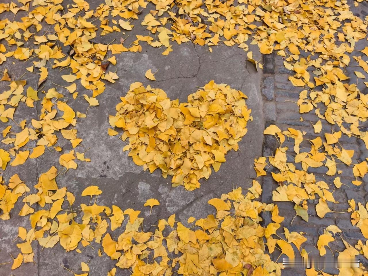 冬日生活打卡季