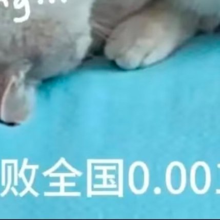 周四愉快🌿 坚持就是胜利，心怀期待，好运都在路上啦，早安～ 