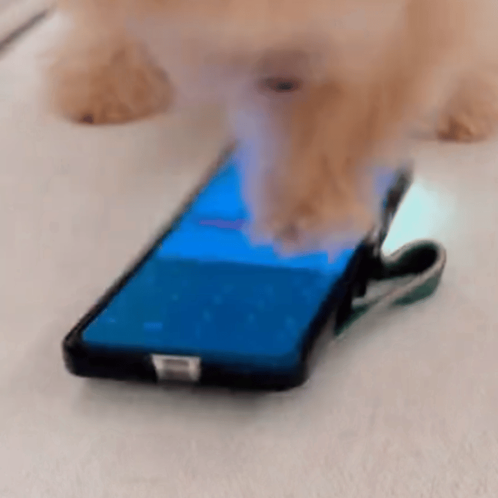 【10215】心好现在就这样： 