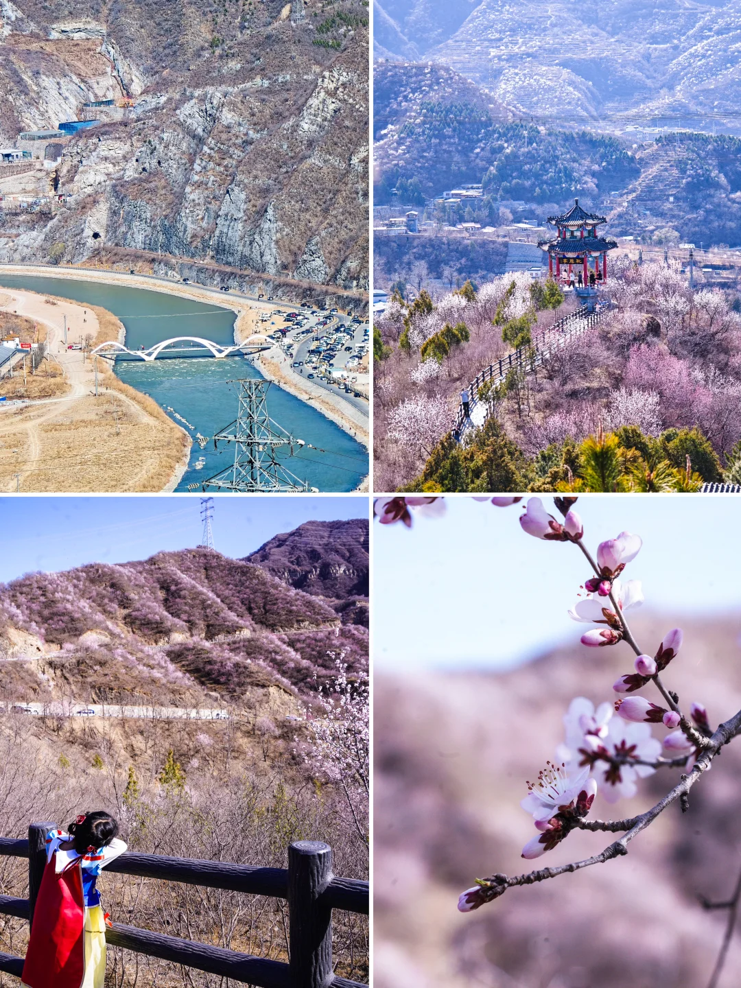 北京人少花🌸多，全程可开车还能走古道🐎