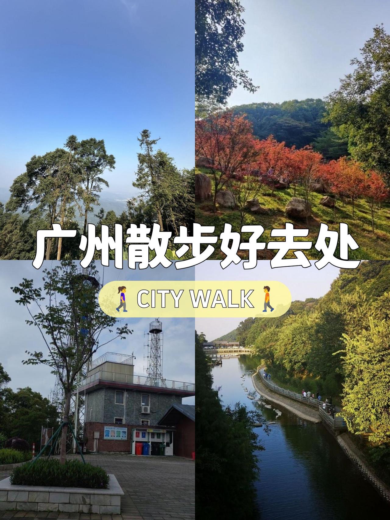 春日漫步帽峰山｜山顶广场の治愈系打卡

🌿在钢筋水泥里关久了？来帽峰山吸氧！这