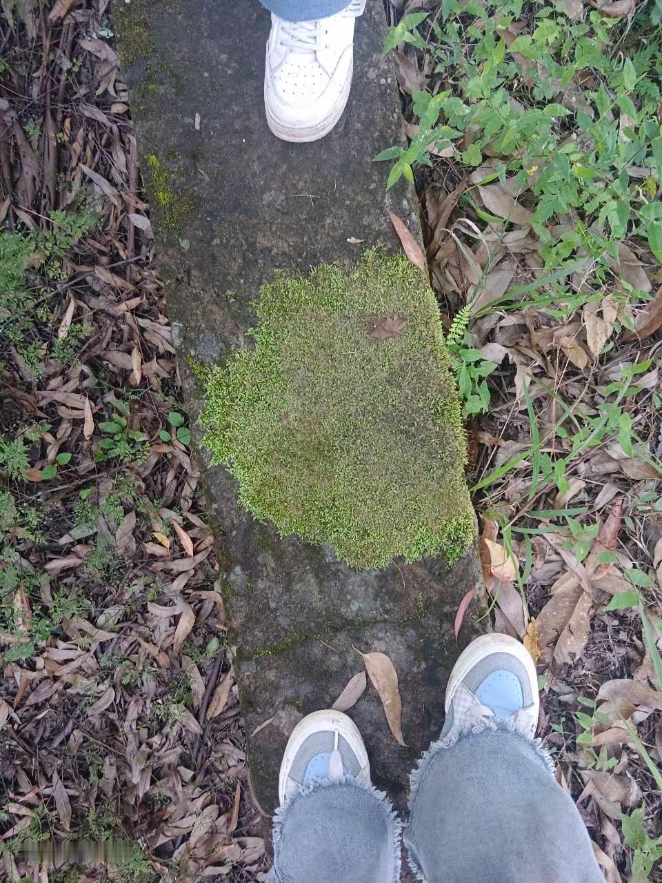 地球online提醒您，请忽在npc身上浪费太多时间