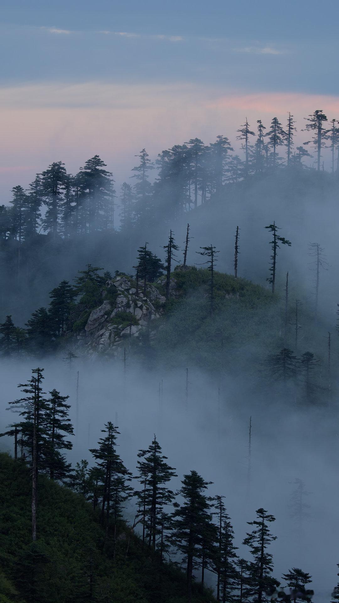 陈坤体验一山四季 徜徉在层林叠翠的山野之间，陈坤一举一动都悠然自在。俯身观溪、抬