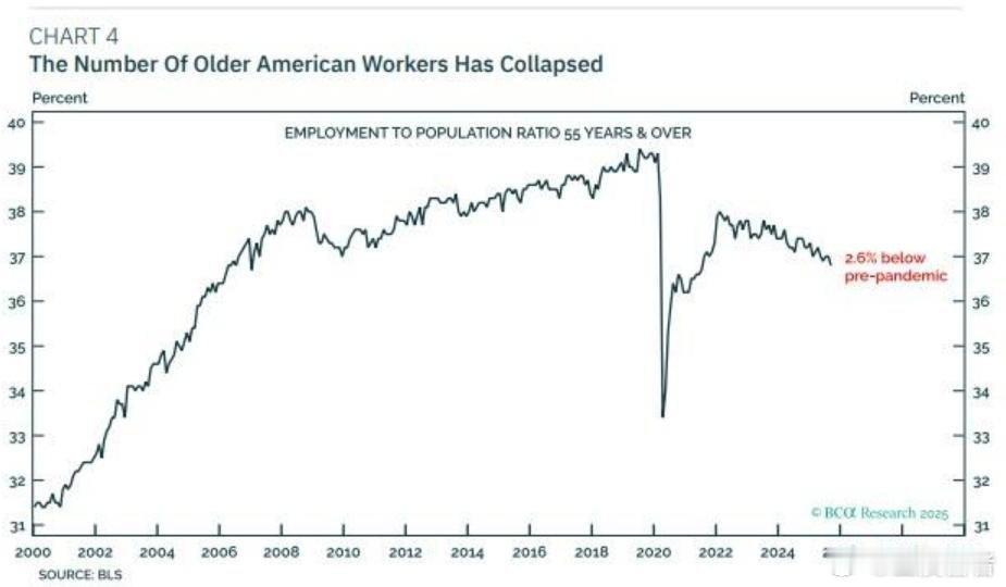 原因投机资本太集中，一旦资本没利可图撤资转场，会引起市场急剧波动资本放大效映，带