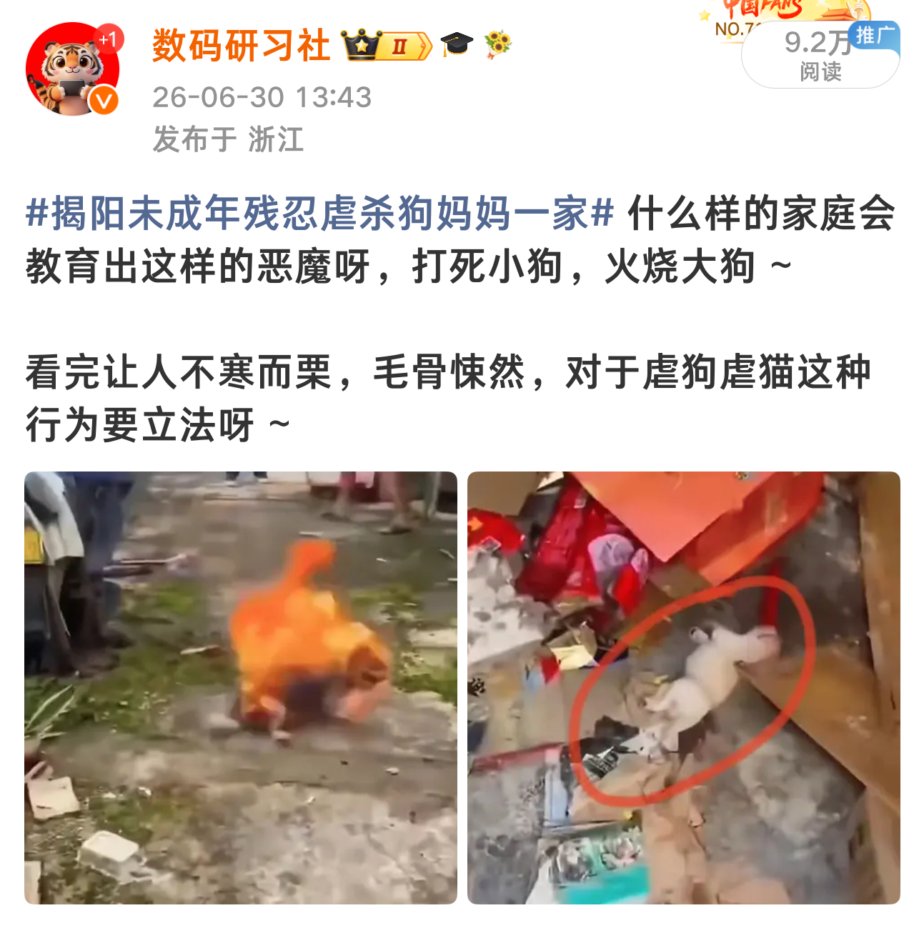 揭阳未成年残忍虐杀狗妈妈一家   发了图一的帖子，收到了图二这样的评论，我真的惊