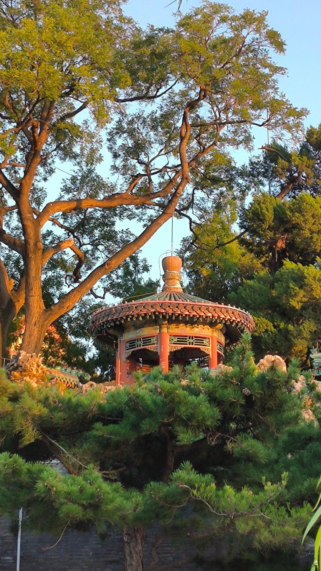 落日的余晖漫过北海，铺满亭台湖面。朱红的墙垣，明黄的殿顶，层层叠叠的绿瓦，在暮色