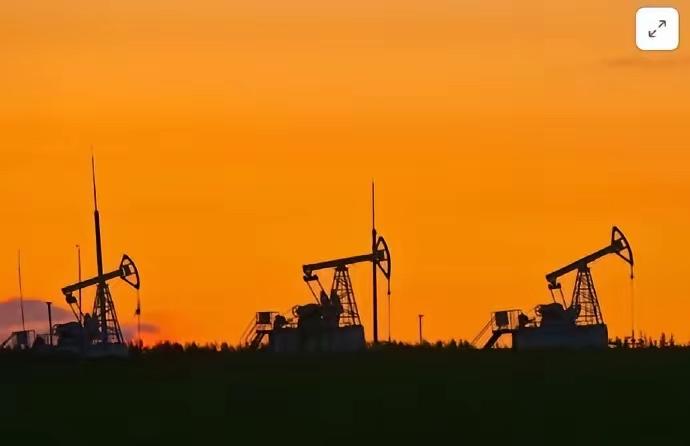 中国炼厂买不到委内瑞拉原油，开始纷纷转向加拿大，白宫这下彻底傻眼了！原本以为封锁