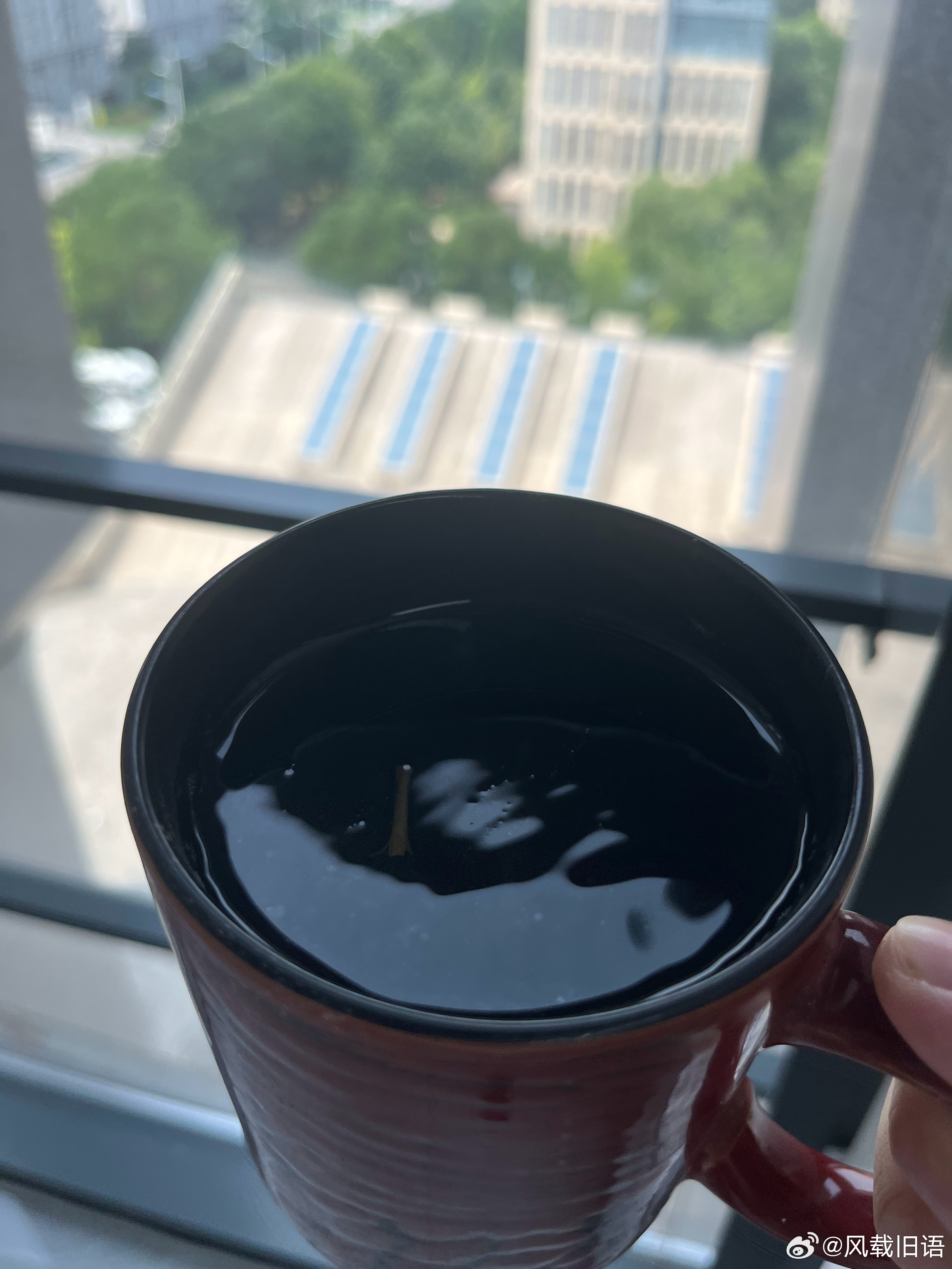 品品茶，看看风景，想想未来……新浪娱乐