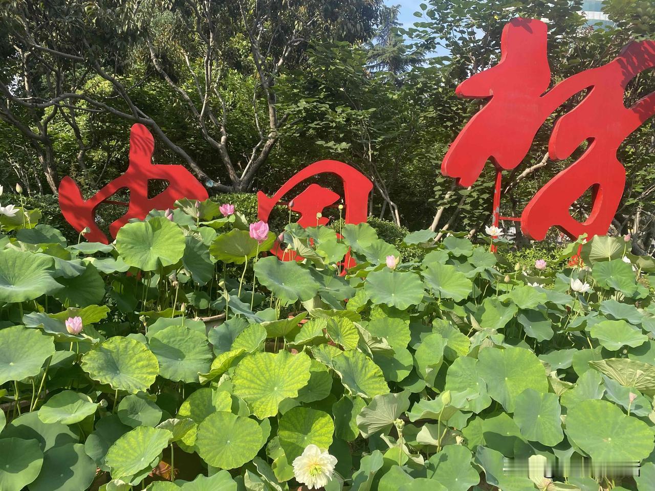 每到8月份，大学录取通知书一到手，农村大大小小的升学宴就接踵而来。可如今农村的升