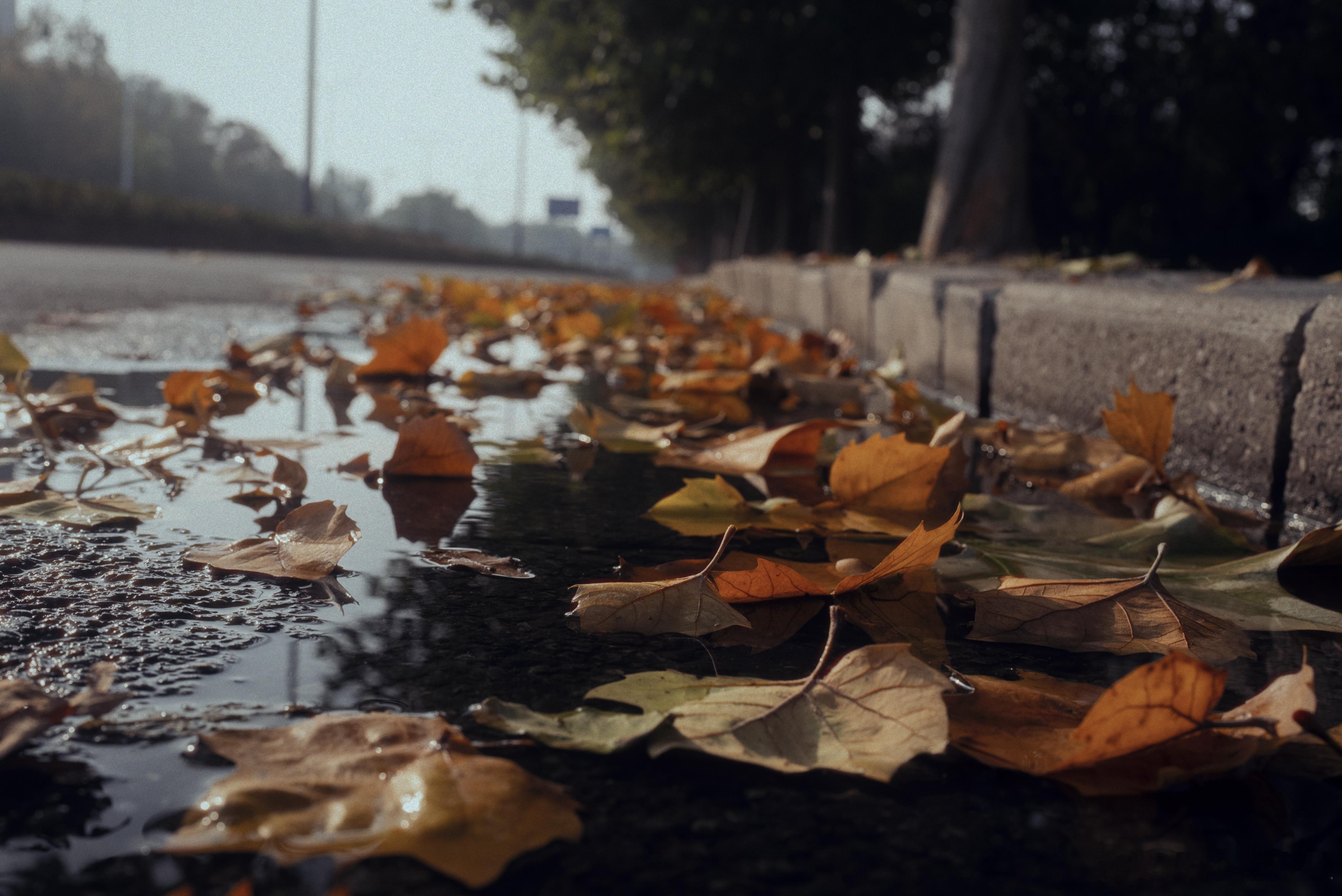 北京的秋走得还是晚一些。 