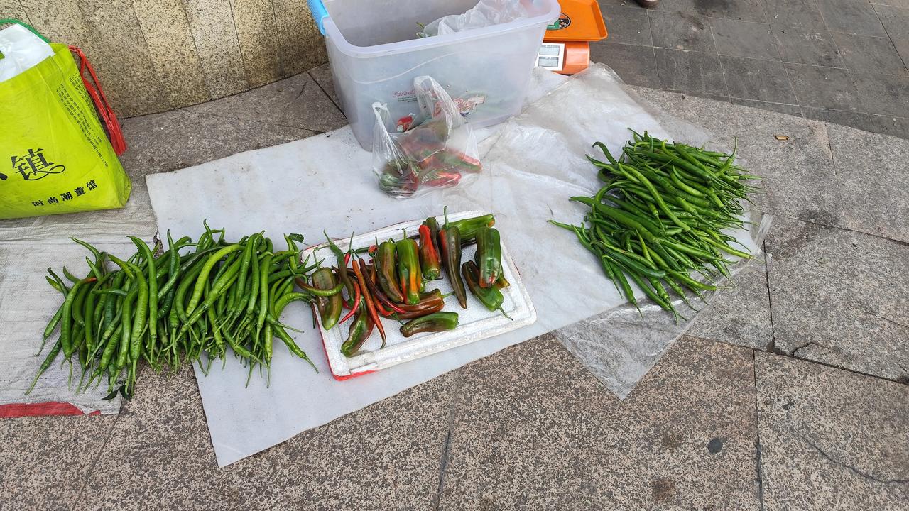 记录我的2026烟火气十足的早市，各种新鲜蔬菜水果，真是棒棒的！分享早上去早市买