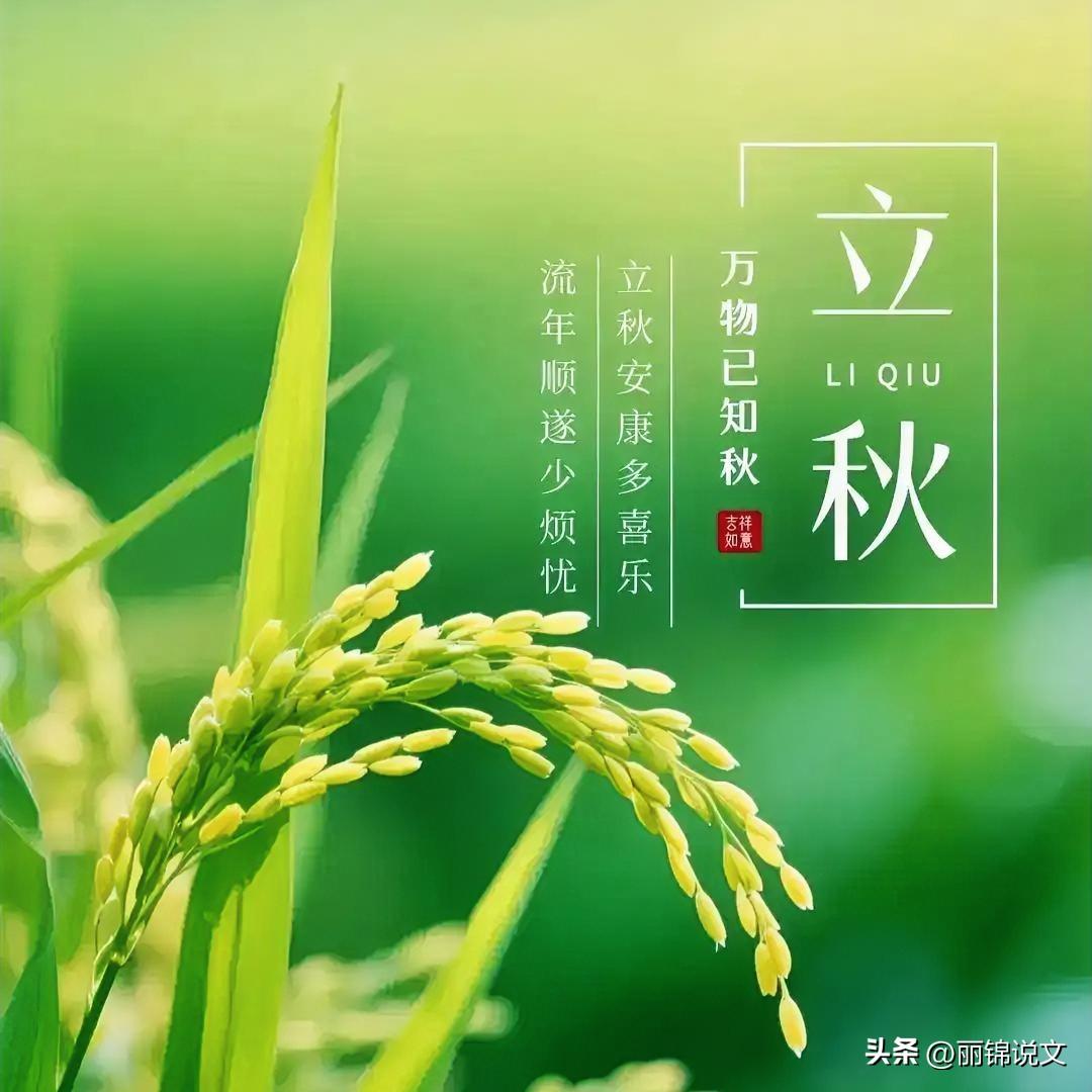 立秋别瞎吃肉进补！农村老辈人的实在话，温差大这么吃，老小都安稳
 

好多老乡都