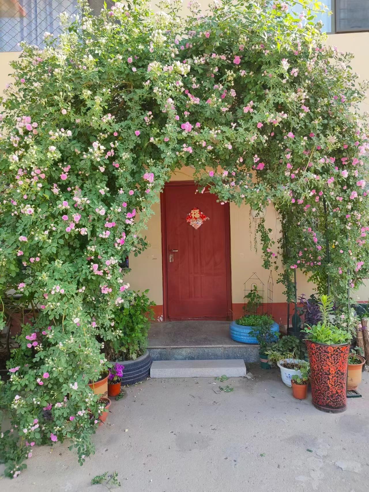 三岁小孙子知道给爷爷奶奶撑腰了？！[大笑][大笑][大笑]

下午，小孙子打来视