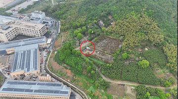好家伙，赌博竟跑到公墓来了。
2026年4月14日，杭州富阳新登派出所获取线索后