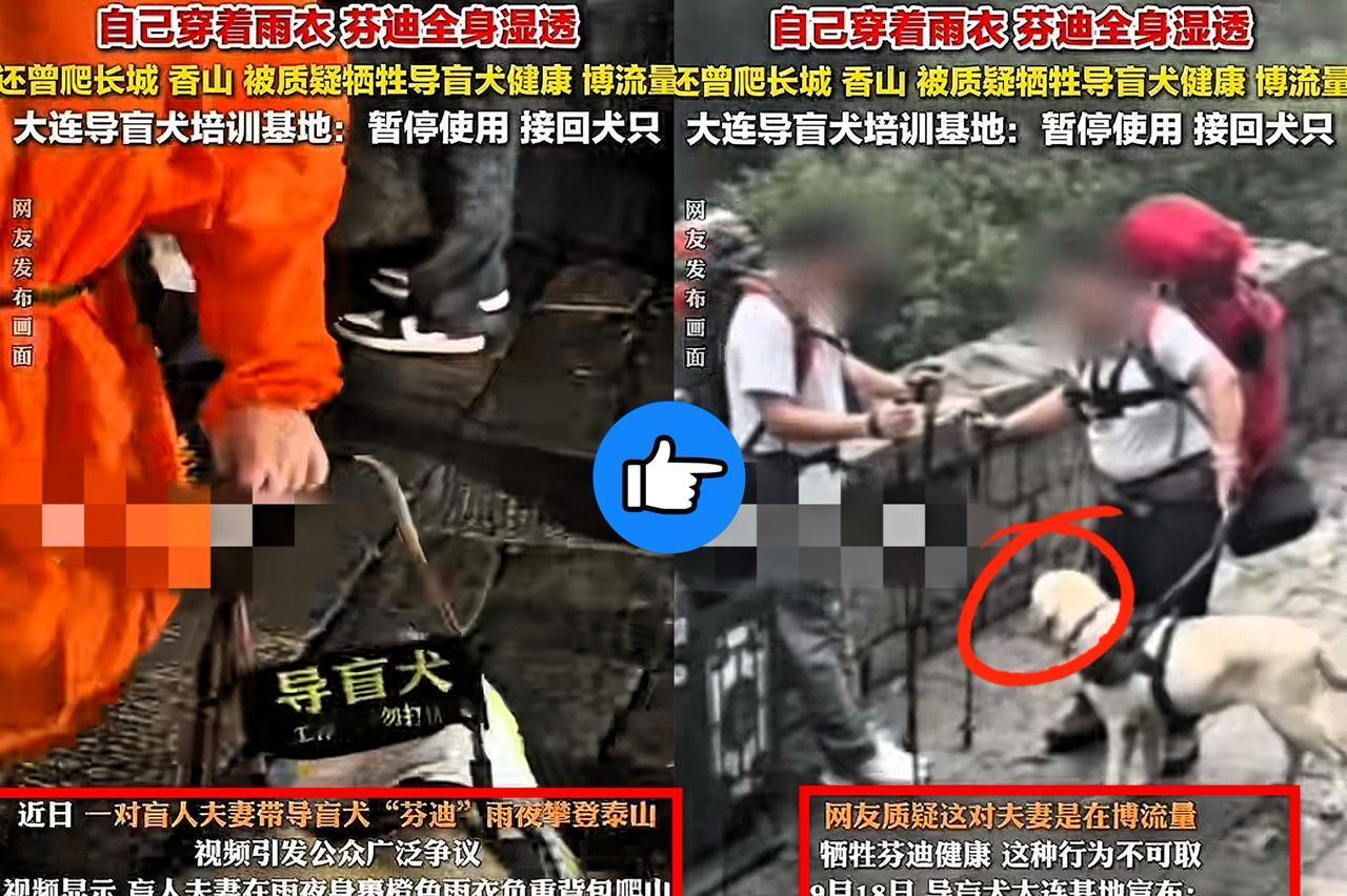 太让人寒心！
在泰山的盲人夫妻，
居然是北京来的按摩师，已经

工作8年，客人好