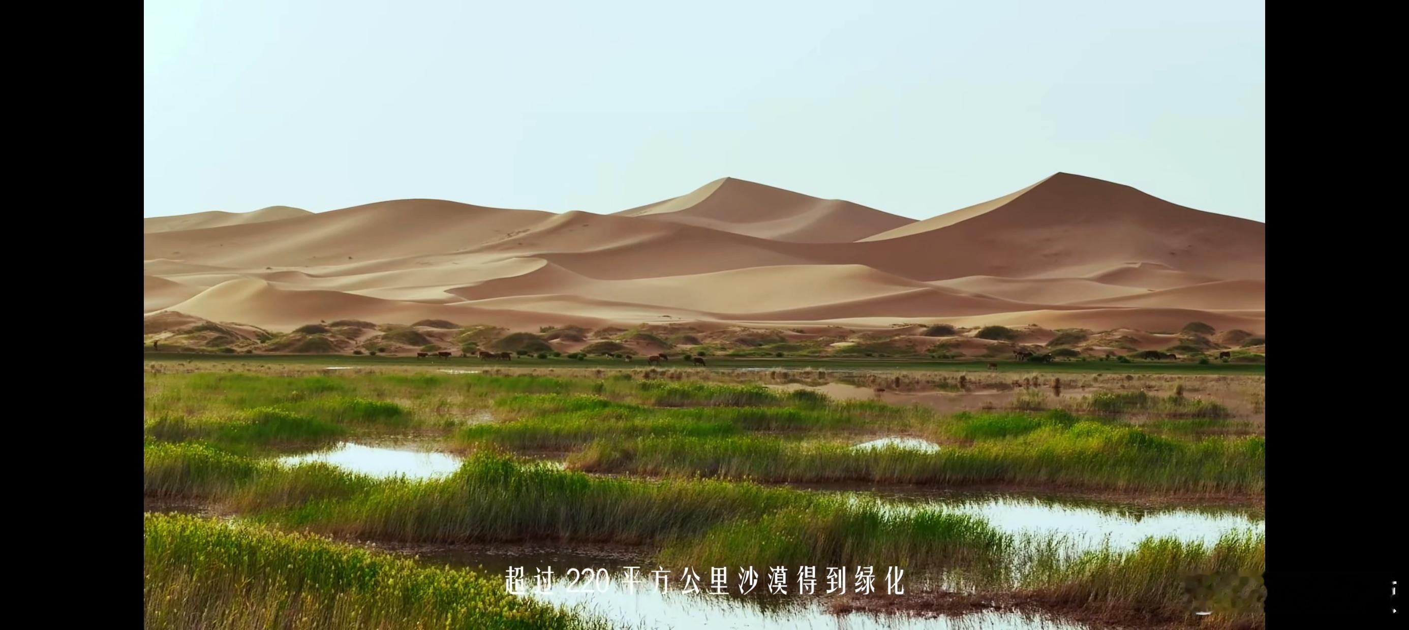 靳东上演乌兰布和大地戏剧特仑苏会员日大馈赠  沙海变绿洲｜跟着靳东读懂特仑苏乌兰