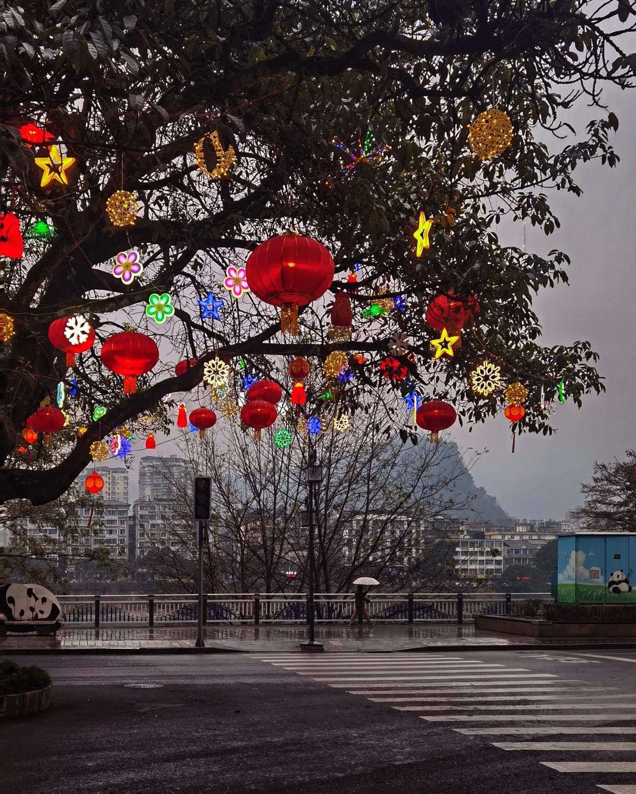 雅安过年没有雪，我们就把雪花挂在树上。