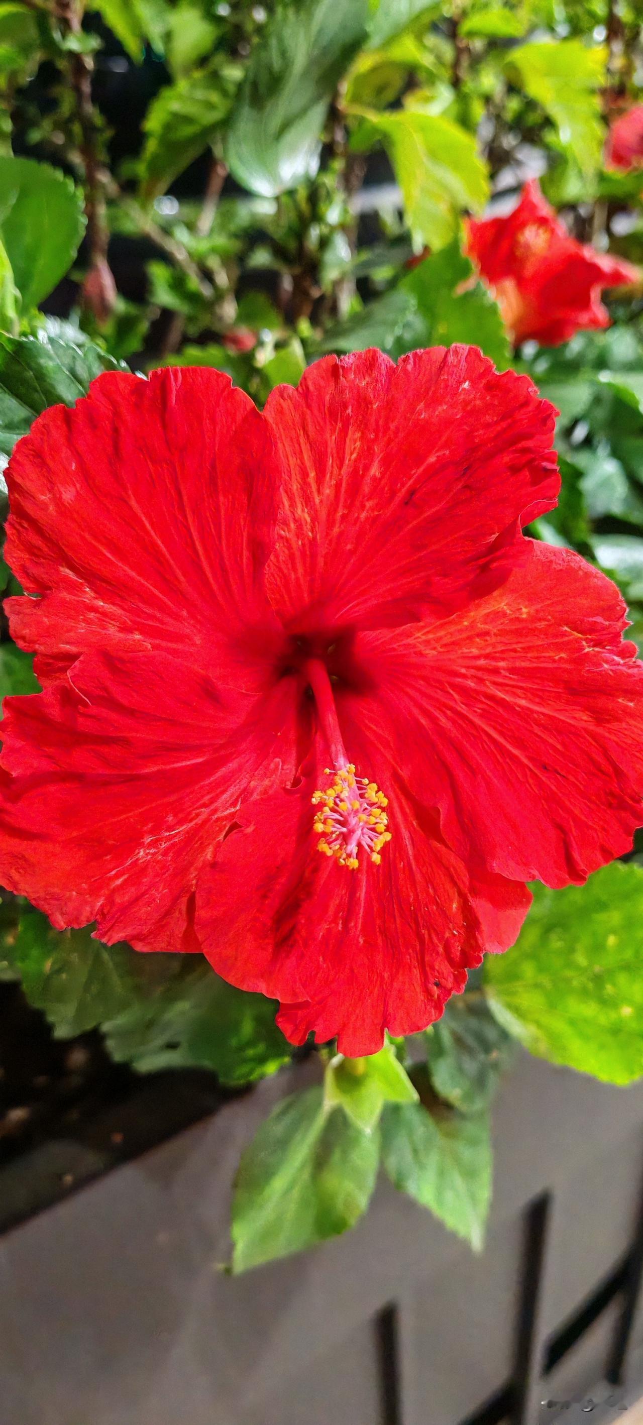 问：和他在一起一次他就把我删了，他是围内，可我放不下他怎么办？
答：直接去找他老