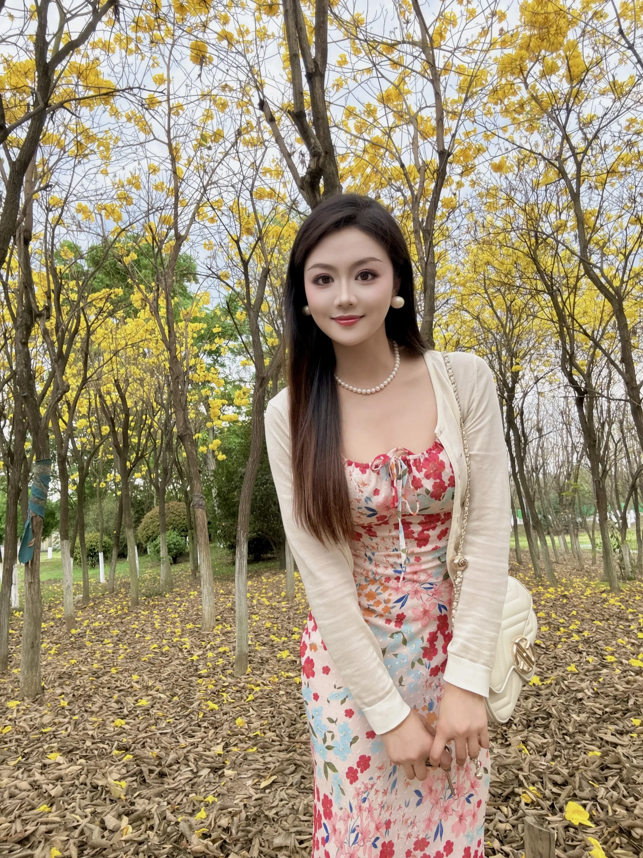 “是黄花风铃木的春天”🌼