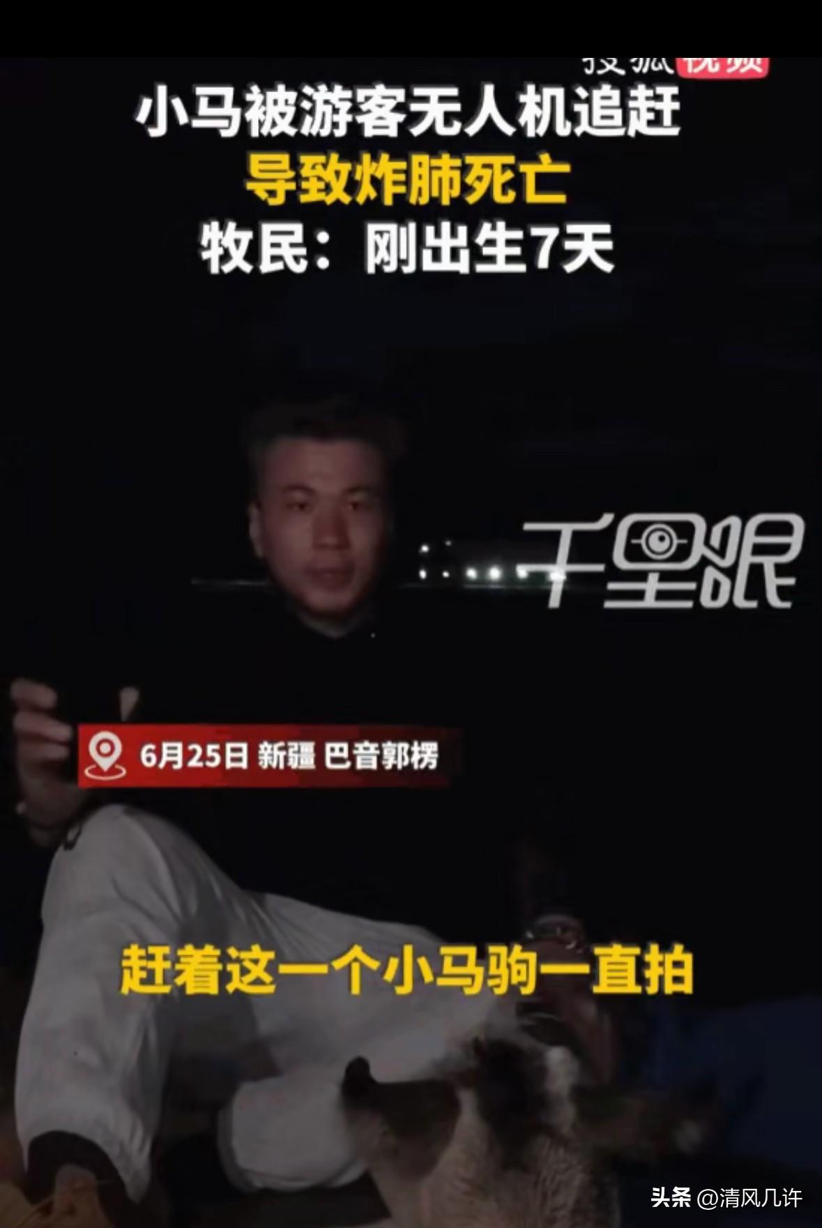 天生坏种！新疆巴音郭楞，一名游客，为了追求镜头下的“史诗级大片”，竟然操控着嗡嗡