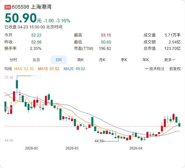 上海港湾2025年年报正式出炉：营收15.69亿增长21.03%，净利6561.