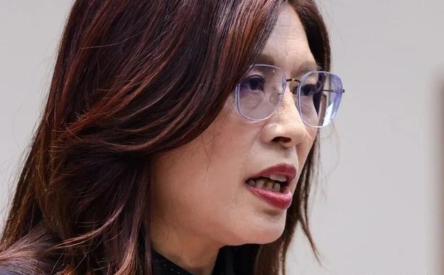 国民党主席郑丽文16日返台后，17日就接受了外媒专访。

才回台湾门都没踏热乎，