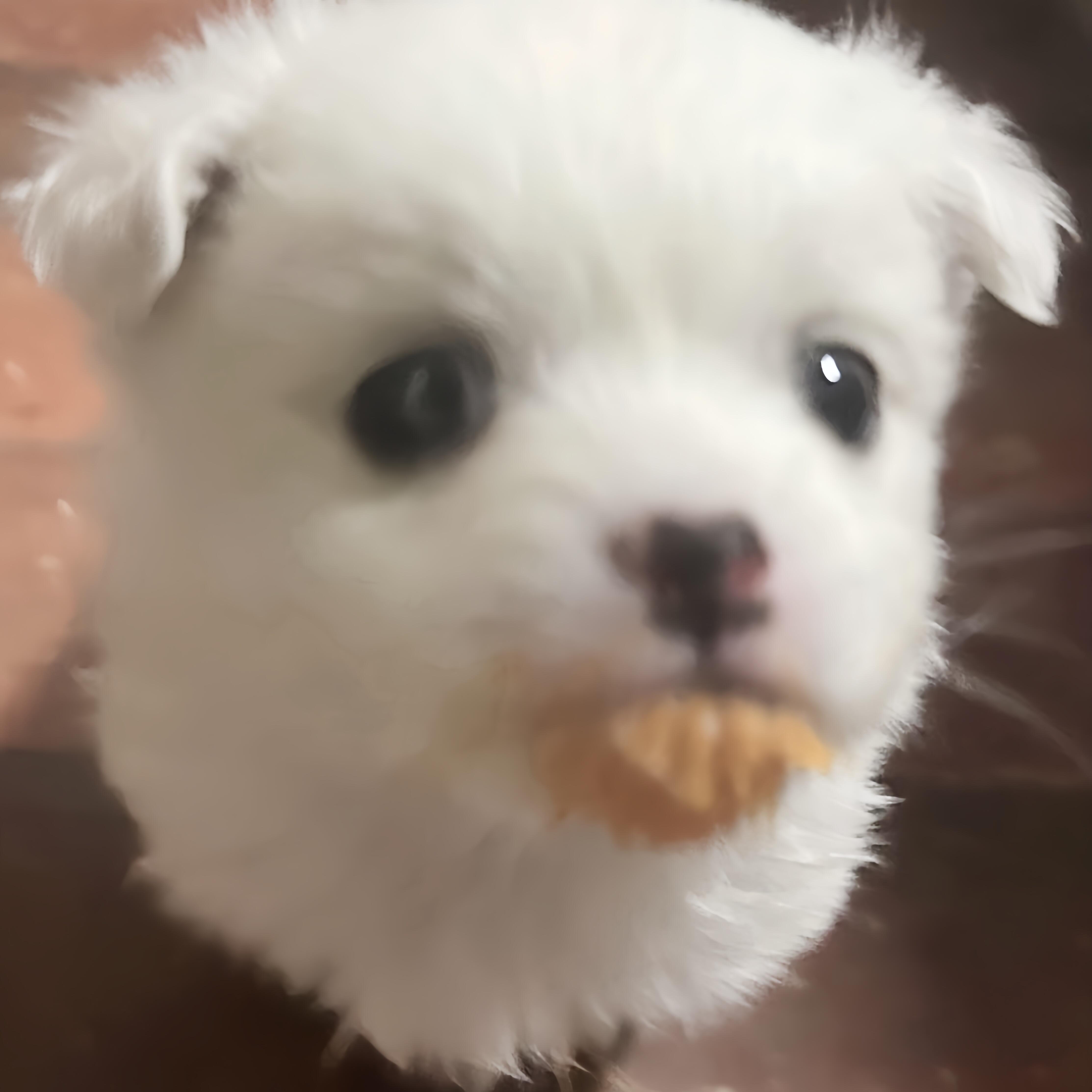 盯… 