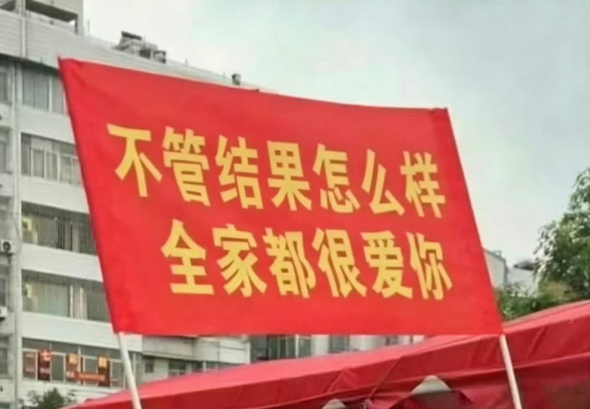 分享图片 