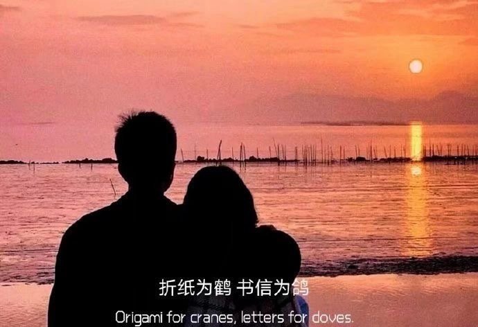 向日葵有个很好的花语：入目无他人，四下皆是你。有你时你是太阳我目不转睛，无你时我
