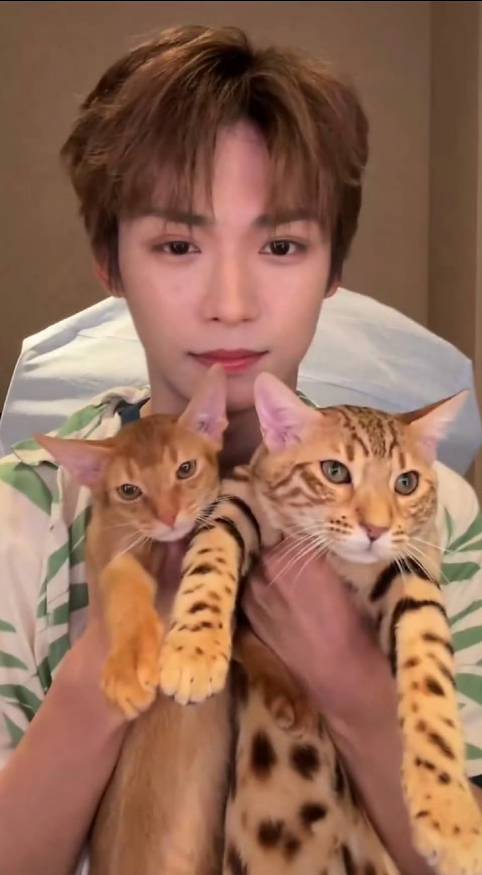 梓渝直播月月也太可爱了吧感冒都不忘带着小十一大鱼直播快点好起来啊 