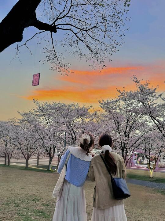3.24实况！杭州的日落樱花🌸好浪漫～