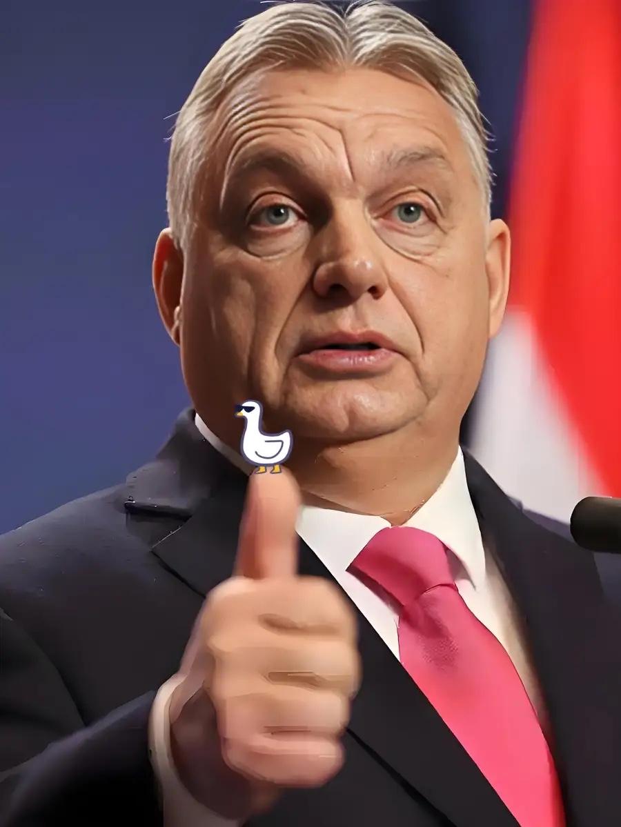 就在刚刚!
匈牙利总理高调宣布
10月28日，匈牙利总理欧尔班突然放话，俄美总统