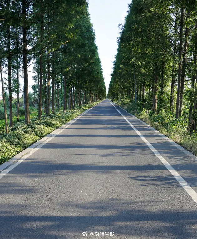 【#游客摔成十级伤残起诉景区索赔18万#】#游客摔成十级伤残法院认定景区无责#2